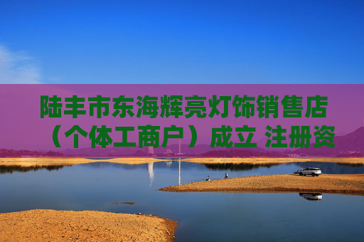 陆丰市东海辉亮灯饰销售店（个体工商户）成立 注册资本1万人民币