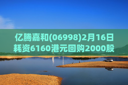 亿腾嘉和(06998)2月16日耗资6160港元回购2000股