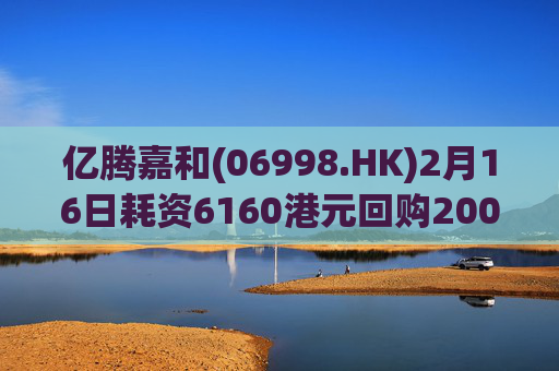 亿腾嘉和(06998.HK)2月16日耗资6160港元回购2000股
