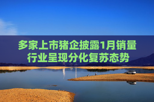 多家上市猪企披露1月销量 行业呈现分化复苏态势