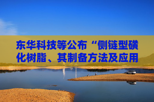 东华科技等公布“侧链型磺化树脂、其制备方法及应用”专利