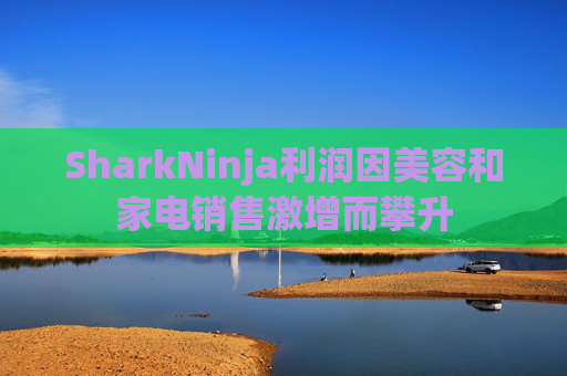 SharkNinja利润因美容和家电销售激增而攀升