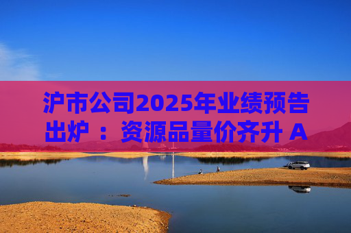 沪市公司2025年业绩预告出炉 ：资源品量价齐升 AI链景气延续