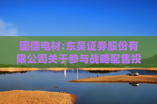固德电材:东吴证券股份有限公司关于参与战略配售投资者的专项核查报告  第1张