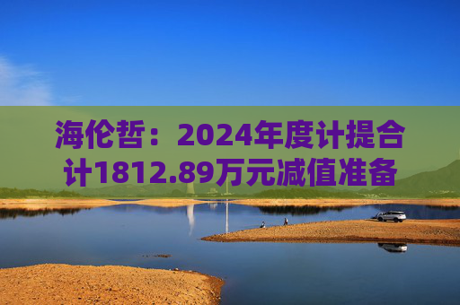 海伦哲：2024年度计提合计1812.89万元减值准备