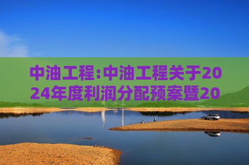中油工程:中油工程关于2024年度利润分配预案暨2025年中期现金分红有关事项授权的公告