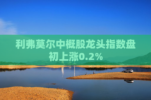 利弗莫尔中概股龙头指数盘初上涨0.2%