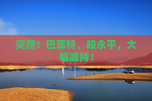 突然！巴菲特、段永平，大幅减持！