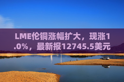 LME伦铜涨幅扩大，现涨1.0%，最新报12745.5美元/吨