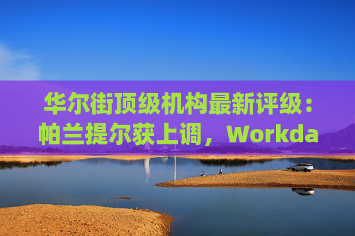 华尔街顶级机构最新评级：帕兰提尔获上调，Workday遭下调