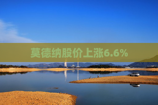 莫德纳股价上涨6.6%