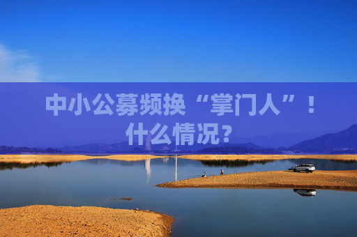 中小公募频换“掌门人”！什么情况？