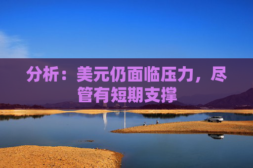 分析：美元仍面临压力，尽管有短期支撑
