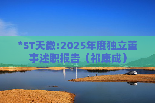 *ST天微:2025年度独立董事述职报告（祁康成）