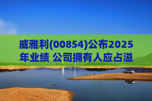 威雅利(00854)公布2025年业绩 公司拥有人应占溢利5095.8万港元