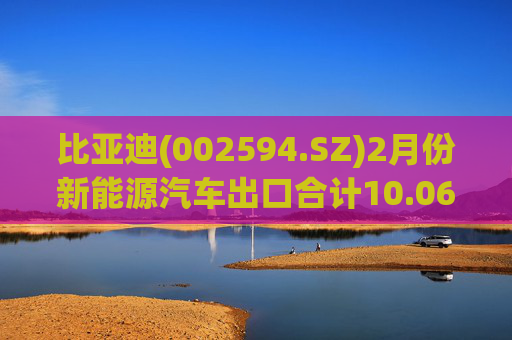 比亚迪(002594.SZ)2月份新能源汽车出口合计10.06万辆  第1张
