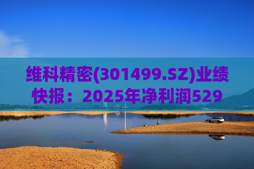 维科精密(301499.SZ)业绩快报：2025年净利润5293.82万元 同比增长16.85%  第1张