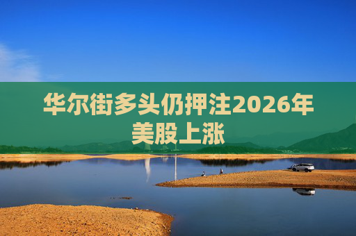 华尔街多头仍押注2026年美股上涨  第1张