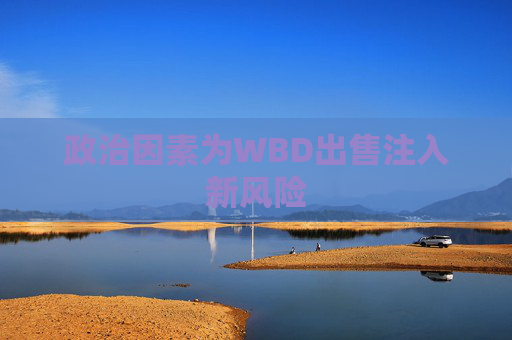 政治因素为WBD出售注入新风险  第1张