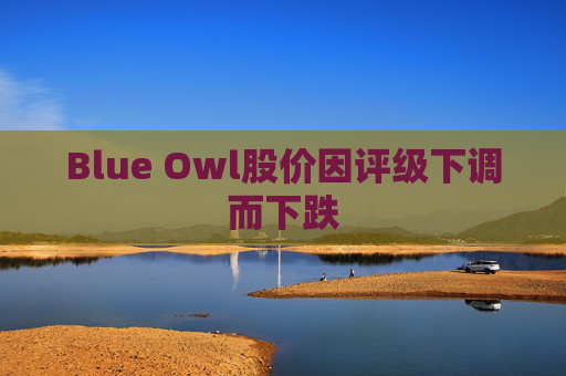 Blue Owl股价因评级下调而下跌