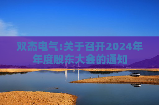 双杰电气:关于召开2024年年度股东大会的通知