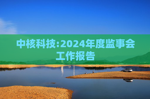 中核科技:2024年度监事会工作报告