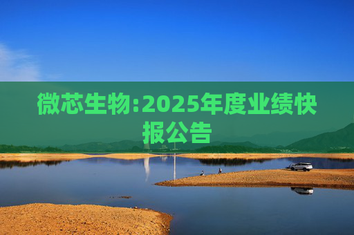微芯生物:2025年度业绩快报公告