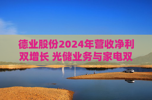 德业股份2024年营收净利双增长 光储业务与家电双轮驱动发力