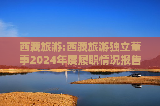 西藏旅游:西藏旅游独立董事2024年度履职情况报告（高金波）  第1张