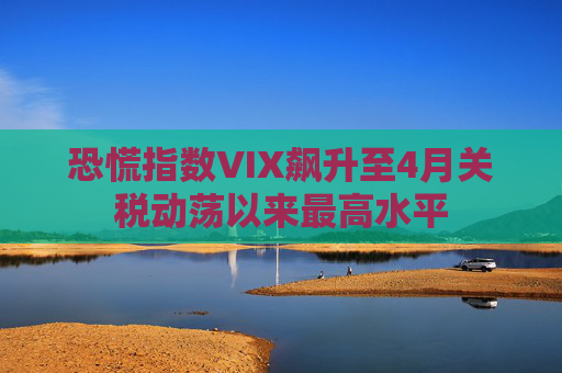 恐慌指数VIX飙升至4月关税动荡以来最高水平  第1张