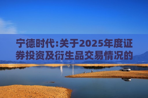 宁德时代:关于2025年度证券投资及衍生品交易情况的专项说明  第1张