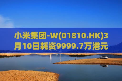 小米集团-W(01810.HK)3月10日耗资9999.7万港元回购297.7万股