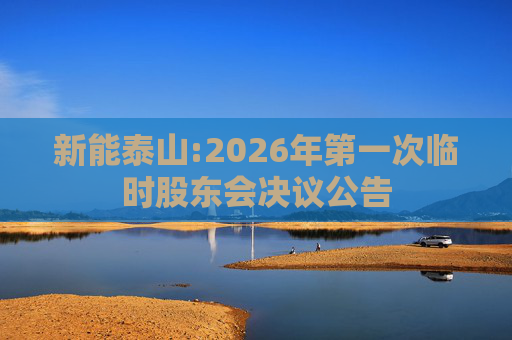 新能泰山:2026年第一次临时股东会决议公告