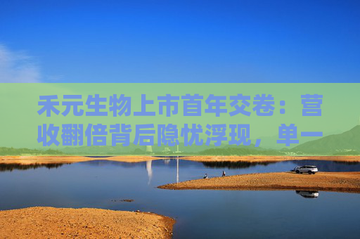 禾元生物上市首年交卷：营收翻倍背后隐忧浮现，单一产品困局与专利战阴云待解