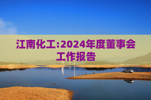 江南化工:2024年度董事会工作报告