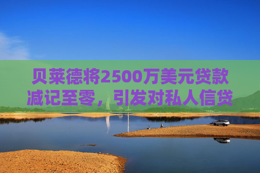 贝莱德将2500万美元贷款减记至零，引发对私人信贷的担忧