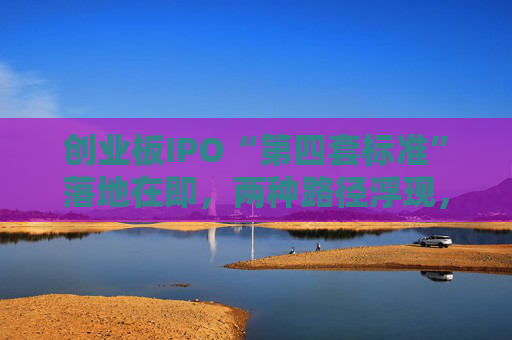 创业板IPO“第四套标准”落地在即，两种路径浮现，新消费回流A股悬念拉满