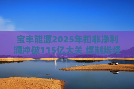宝丰能源2025年扣非净利润冲破115亿大关 煤制烯烃龙头迎高光时刻  第1张