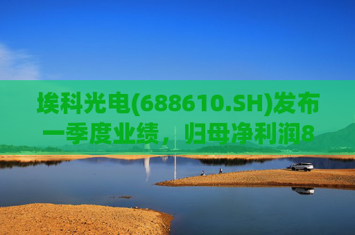 埃科光电(688610.SH)发布一季度业绩，归母净利润862万元，同比下降5.94%  第1张