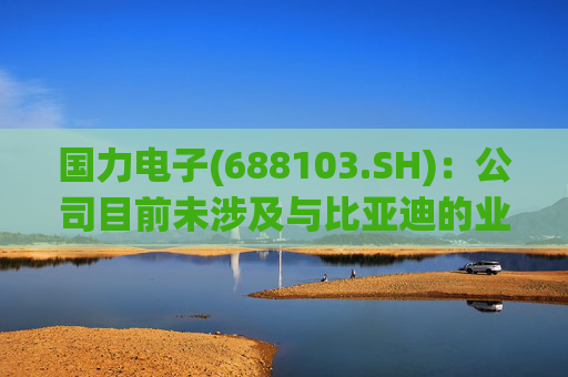国力电子(688103.SH)：公司目前未涉及与比亚迪的业务合作