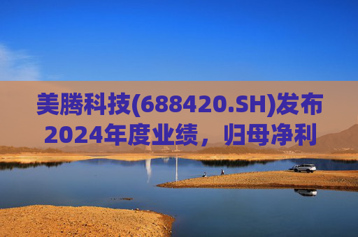 美腾科技(688420.SH)发布2024年度业绩，归母净利润4068万元，同比下降45.21%  第1张