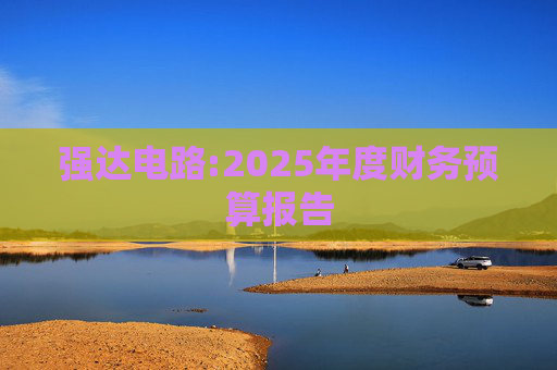 强达电路:2025年度财务预算报告