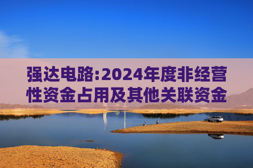 强达电路:2024年度非经营性资金占用及其他关联资金往来情况汇总表