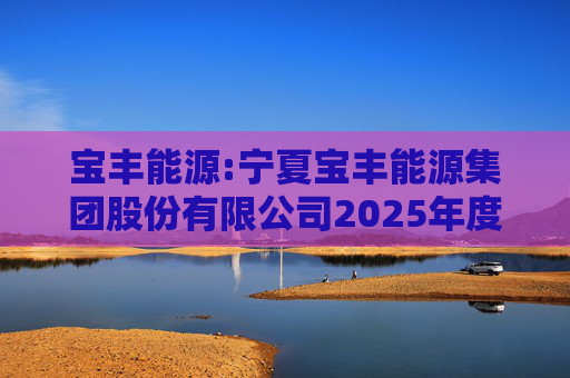 宝丰能源:宁夏宝丰能源集团股份有限公司2025年度独立董事述职报告（孙积禄）