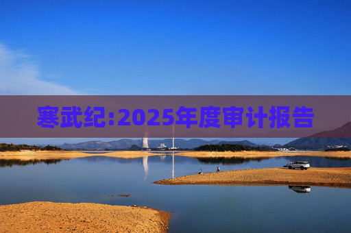 寒武纪:2025年度审计报告