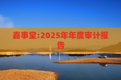 嘉事堂:2025年年度审计报告
