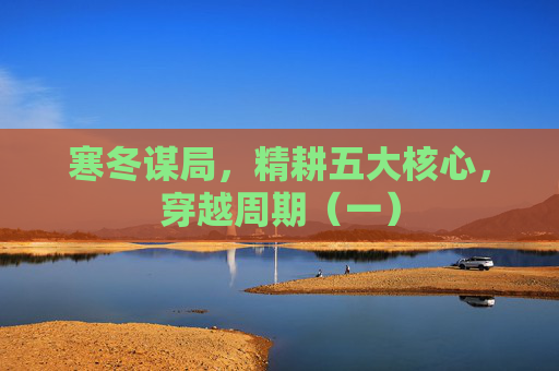 寒冬谋局，精耕五大核心，穿越周期（一）