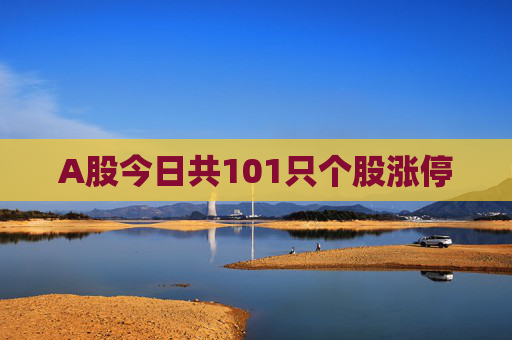 A股今日共101只个股涨停