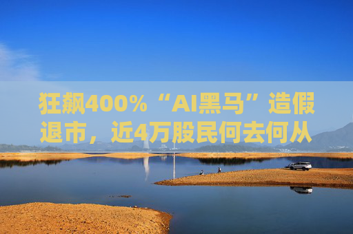 狂飙400%“AI黑马”造假退市，近4万股民何去何从？