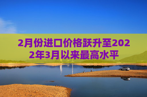 2月份进口价格跃升至2022年3月以来最高水平